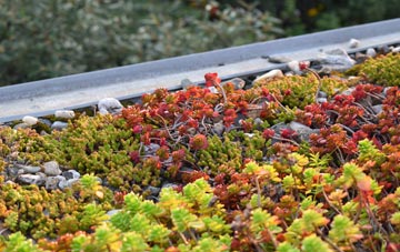 the cost of Aisholt green roof installation